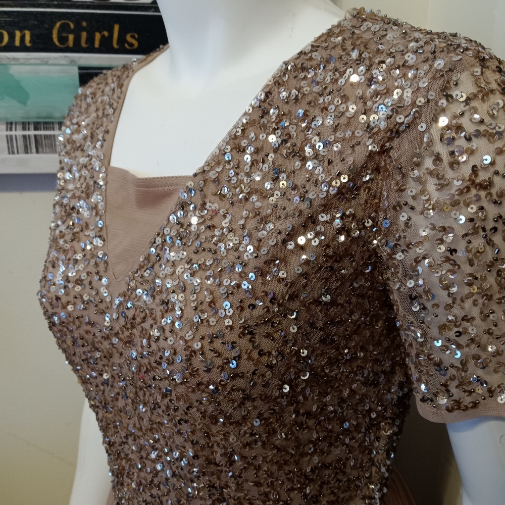 Gorgeous Gold/Taupe Formal Dress - Picture 3 of 6